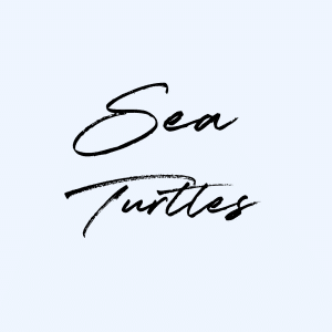 Sea Turtles